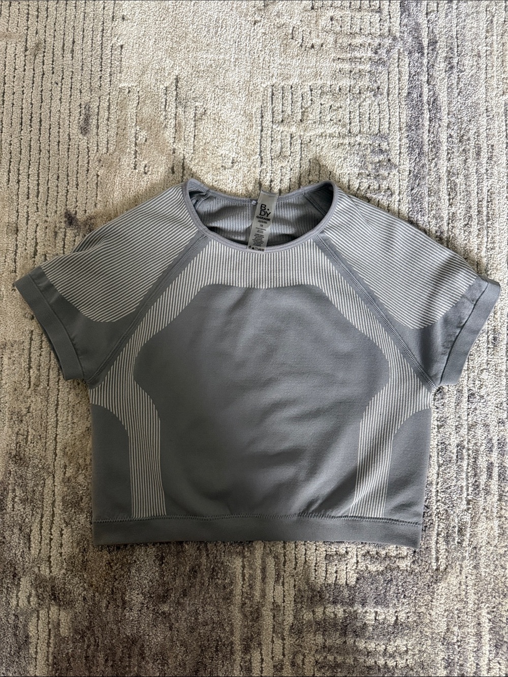 Garage B.DY Gray Ribbed Crop Top